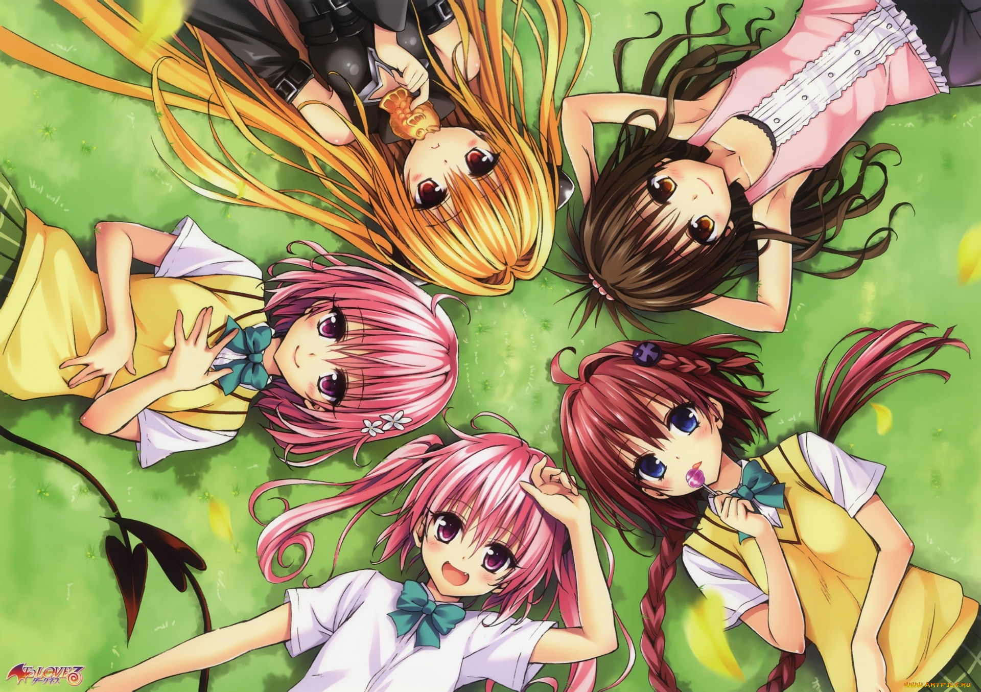 , to-love-ru, , , , 